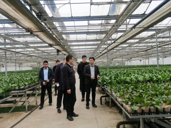 Li Xiaofeng, Secretary of the Party Committee and Chairman of Yangling Technology Group, and his delegation visited and inspected Dingtian Group(图4)