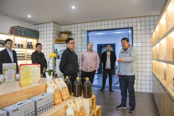 Li Xiaofeng, Secretary of the Party Committee and Chairman of Yangling Technology Group, and his delegation visited and inspected Dingtian Group
