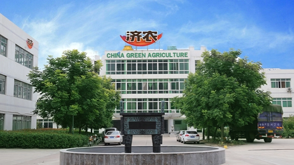 自定义模板 (2).webp