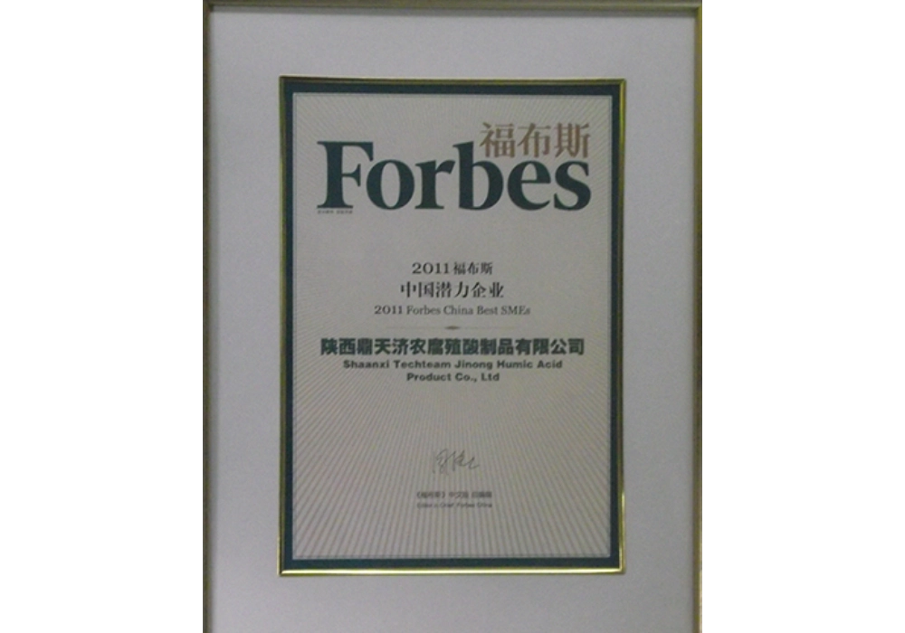 2011福布斯中国潜力企业