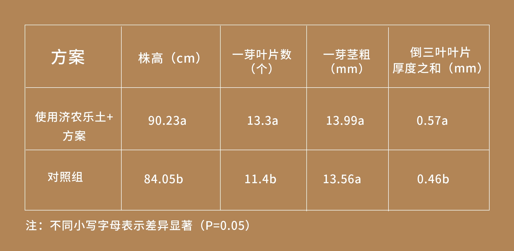 潍坊大姜使用济农乐土的效果(图5)