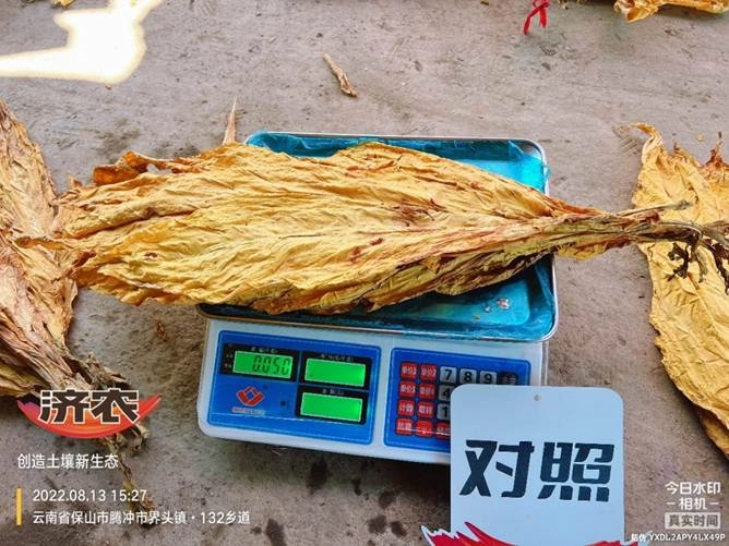 Experimental results of using Jinong Letu in Yunnan tobacco to improve yield and quality(图5)