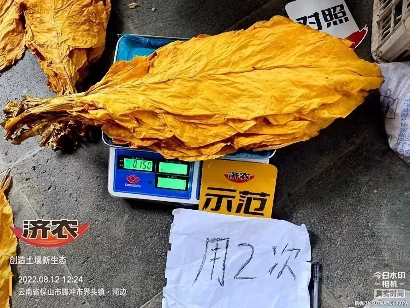 全程两次济农乐土，种高品质烤烟(图11)