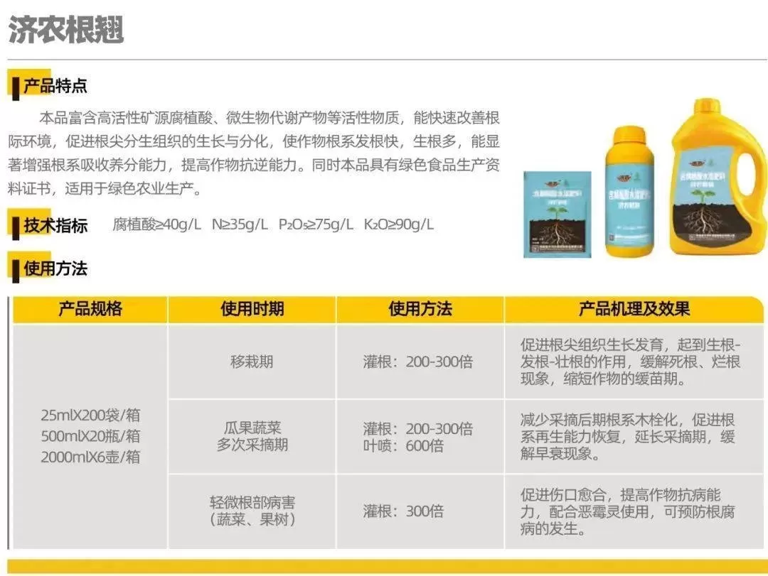 怎样的茄苗才能丰产？如何判定？(图10)