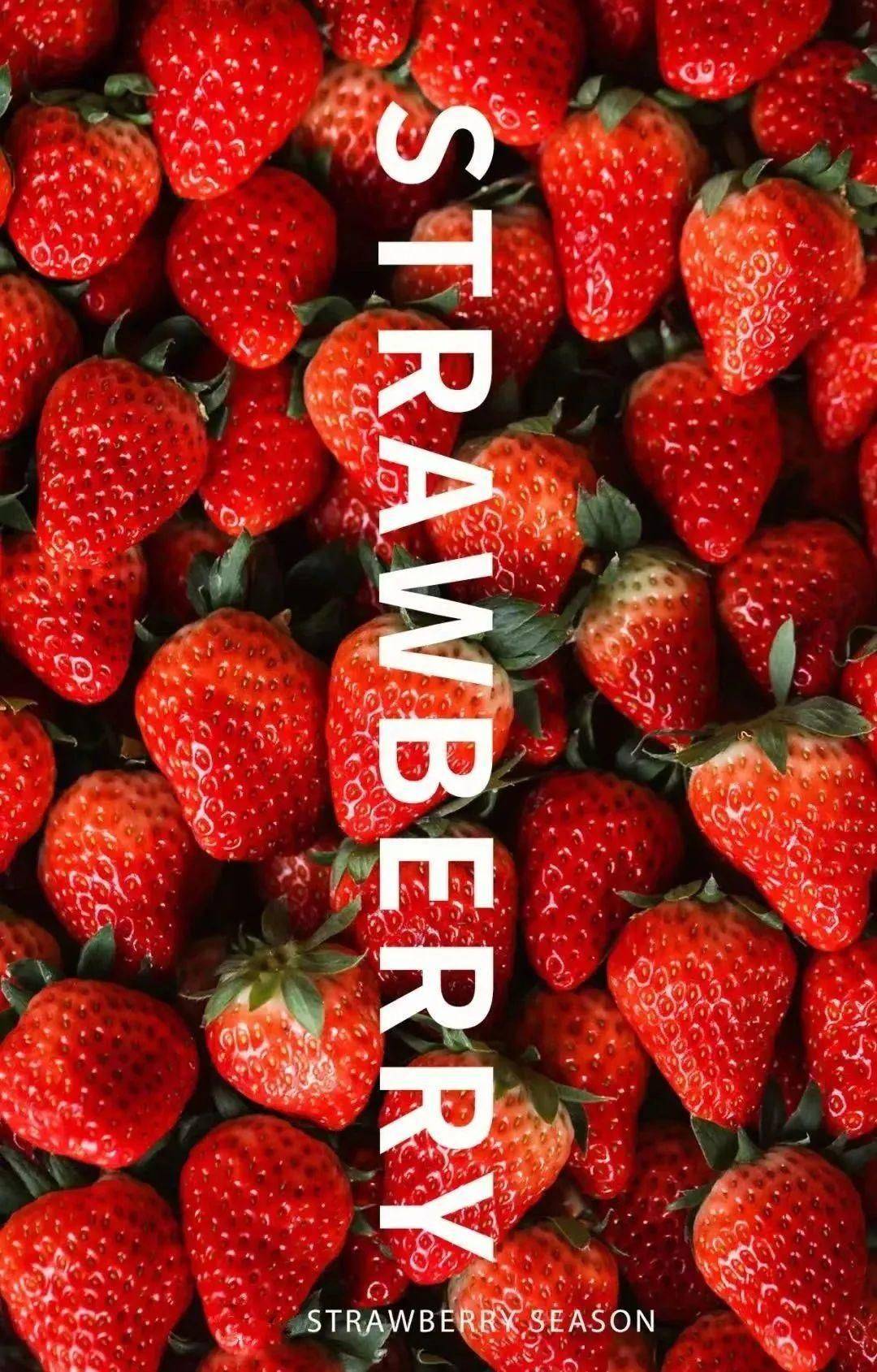 如何让草莓又大又香甜？看看上海的几个草莓园就知道了！