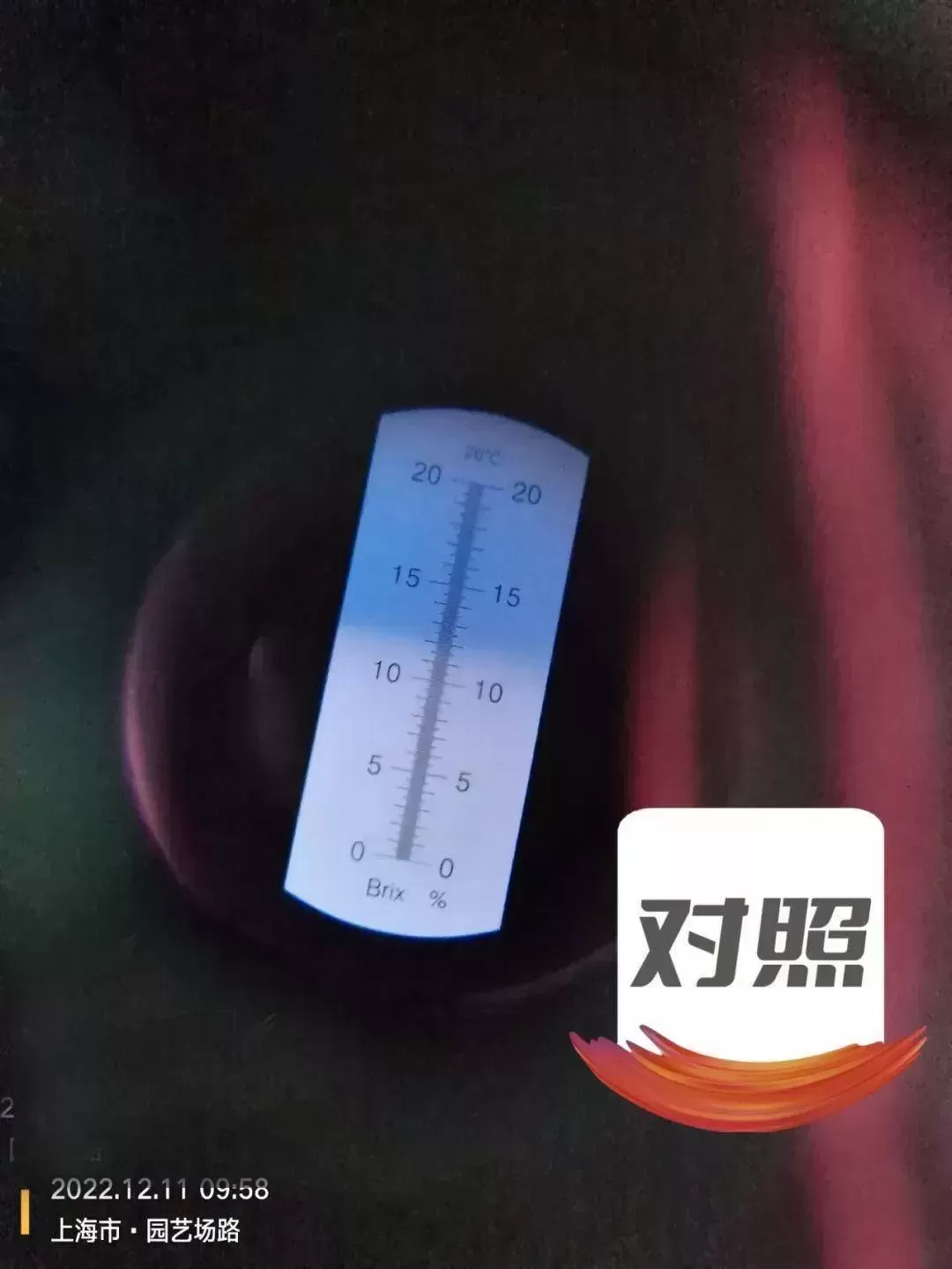 如何让草莓又大又香甜？看看上海的几个草莓园就知道了！(图6)