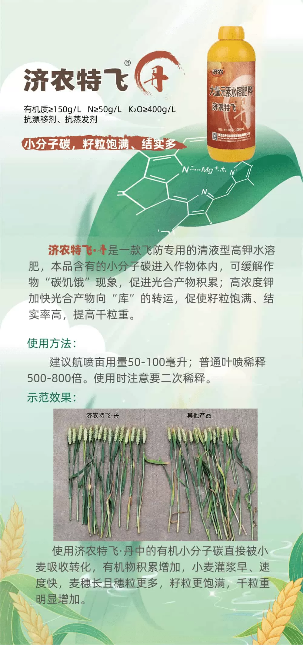 济农特飞·丹(图1)