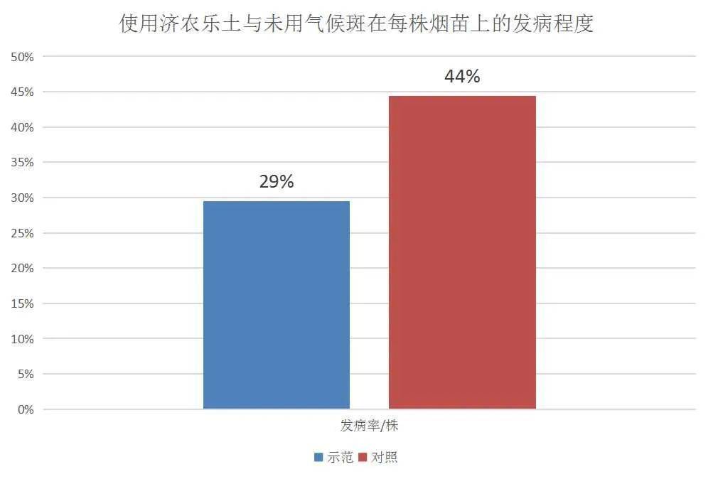 The incidence rate of tobacco climatic spots was reduced by 15%, and it was used correctly for two times in seedling stage(图1)