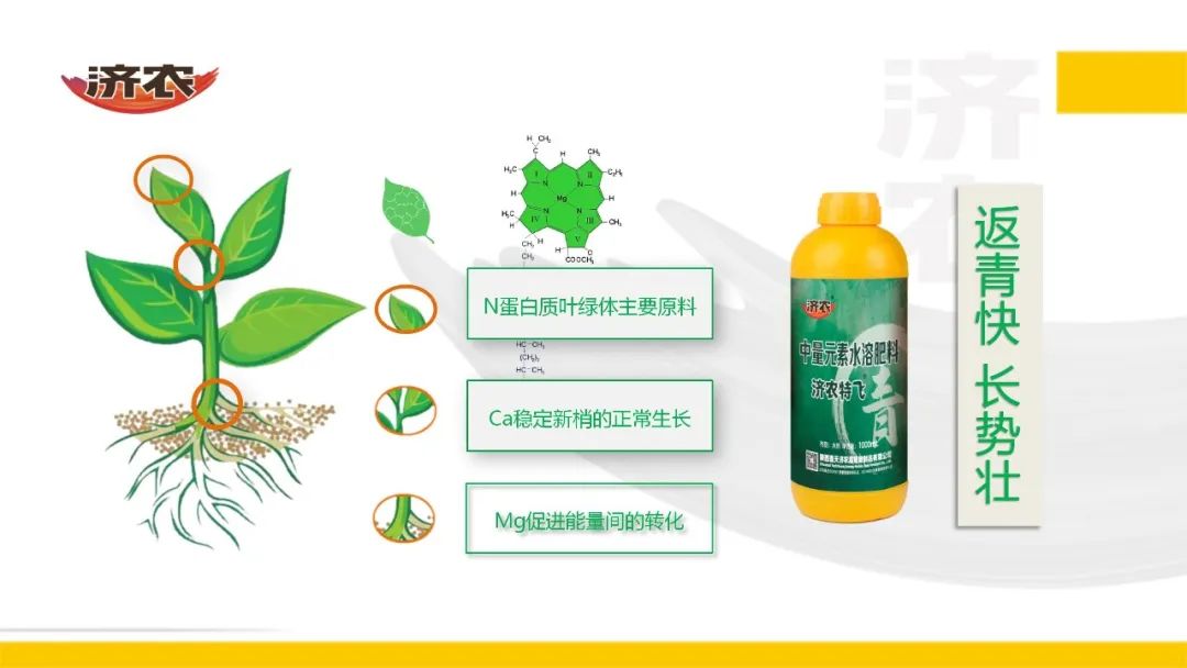 Jinong launches a three-dimensional nutrient fertilizer combination for field crops, with dedicated flight prevention to promote high yield and income increase of field crops(图3)