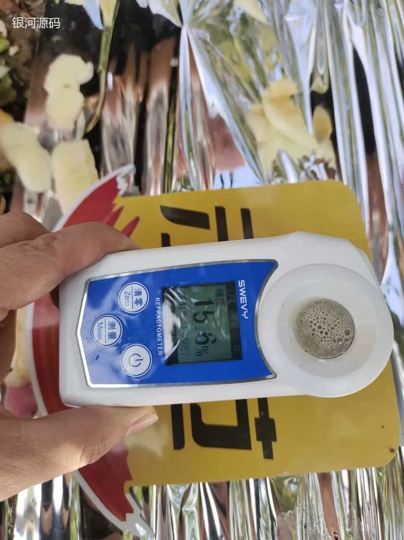 山东烟台条纹苹果使用济农乐土的效果(图7)
