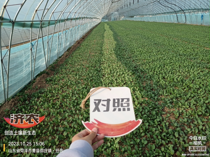 The Effect of Using Jinan Agricultural Products for Rapeseed in Heze, Shandong Province(图4)