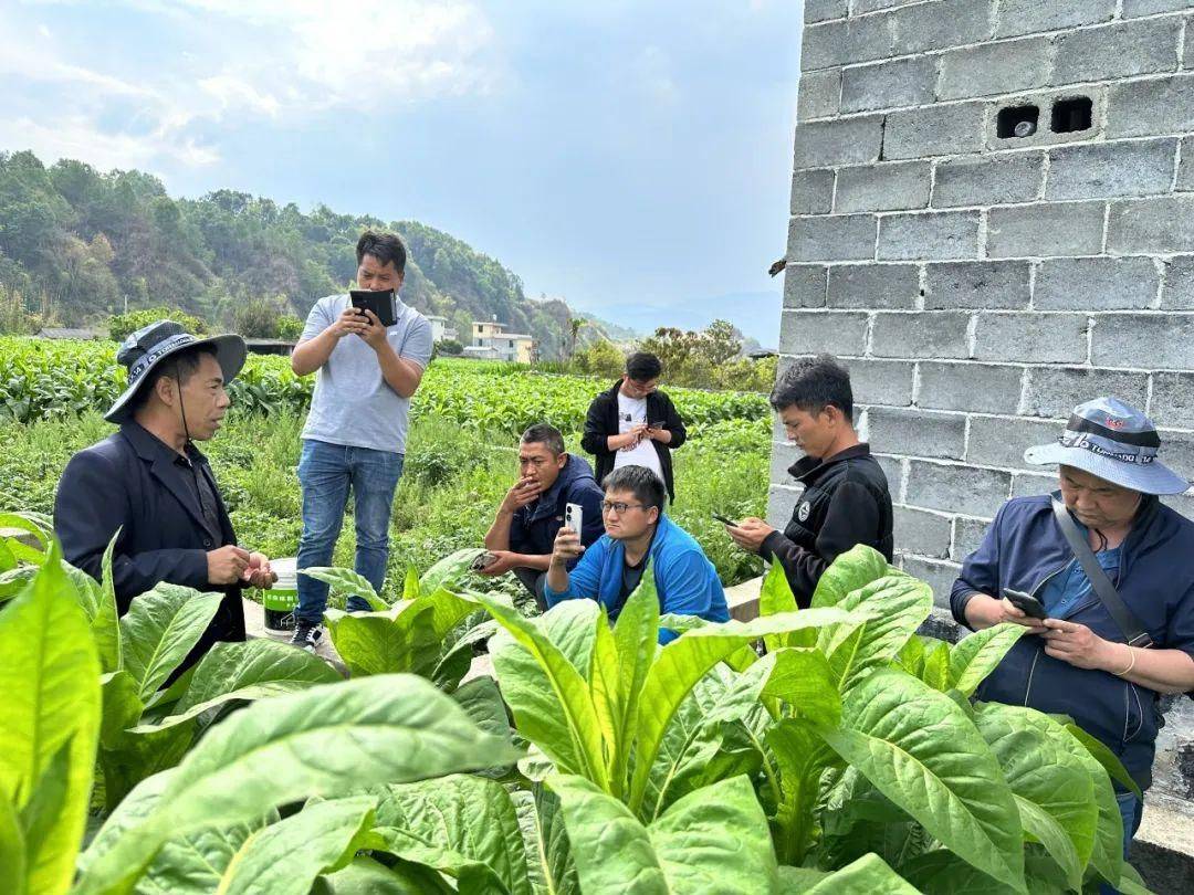 鼎天济农烟草专家苏军成获“2023年度最美腐植酸人”荣誉称号(图9)