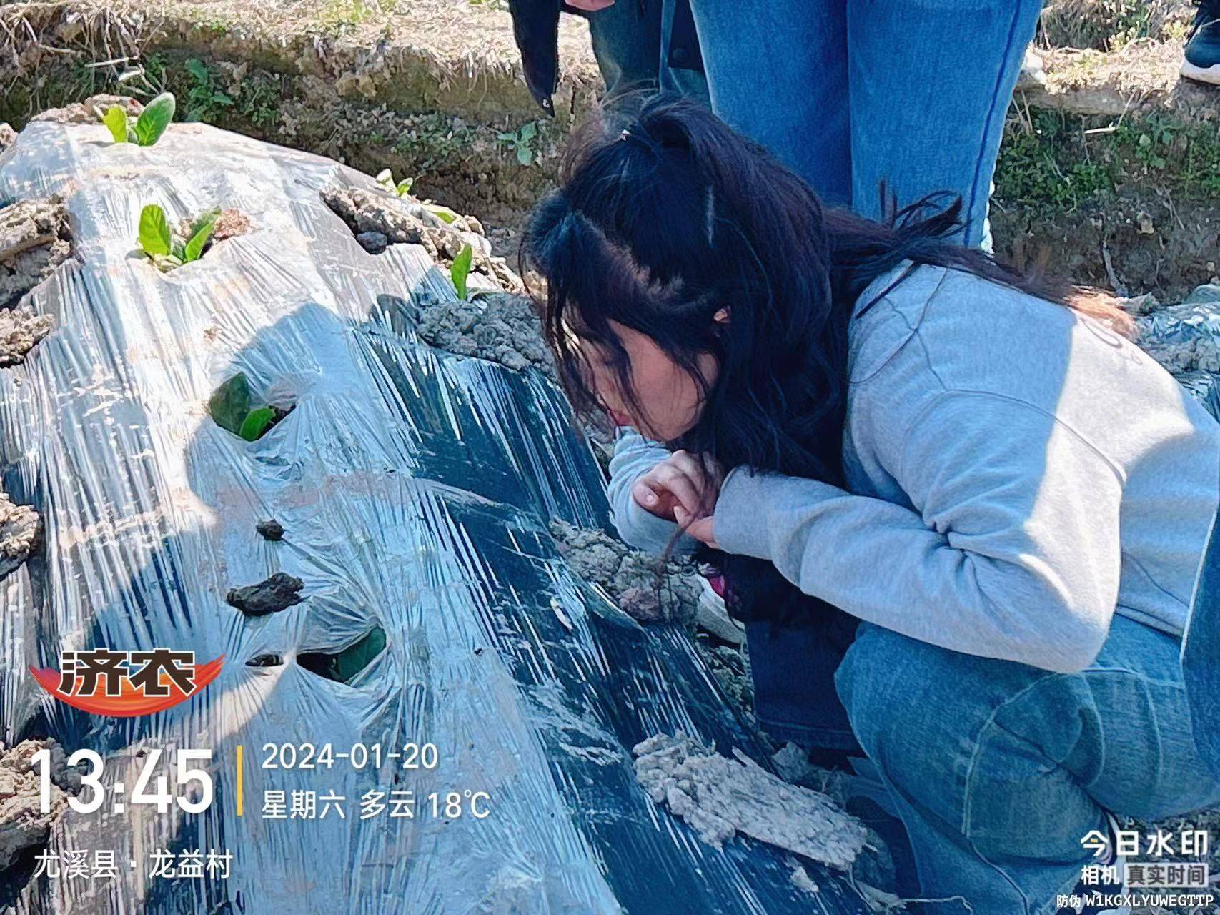 学习者生存｜鼎天济农烟草专项培训圆满结束(图5)