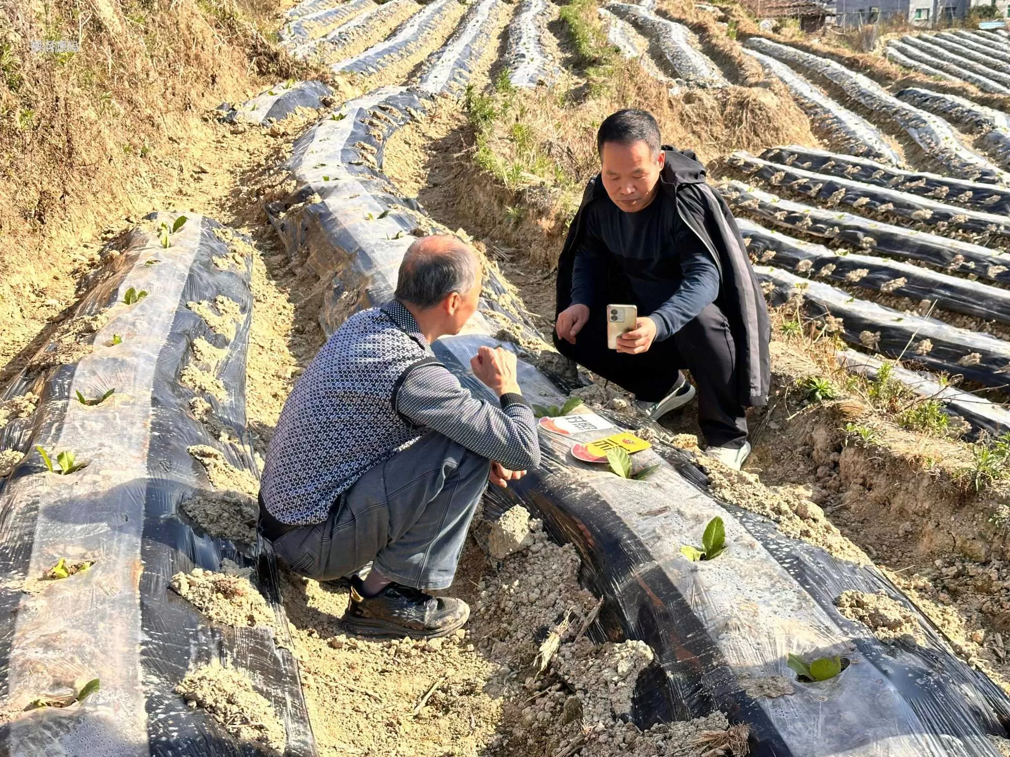 Learner Survival | Dingtian Jinan Tobacco Special Training Successfully Ends(图6)