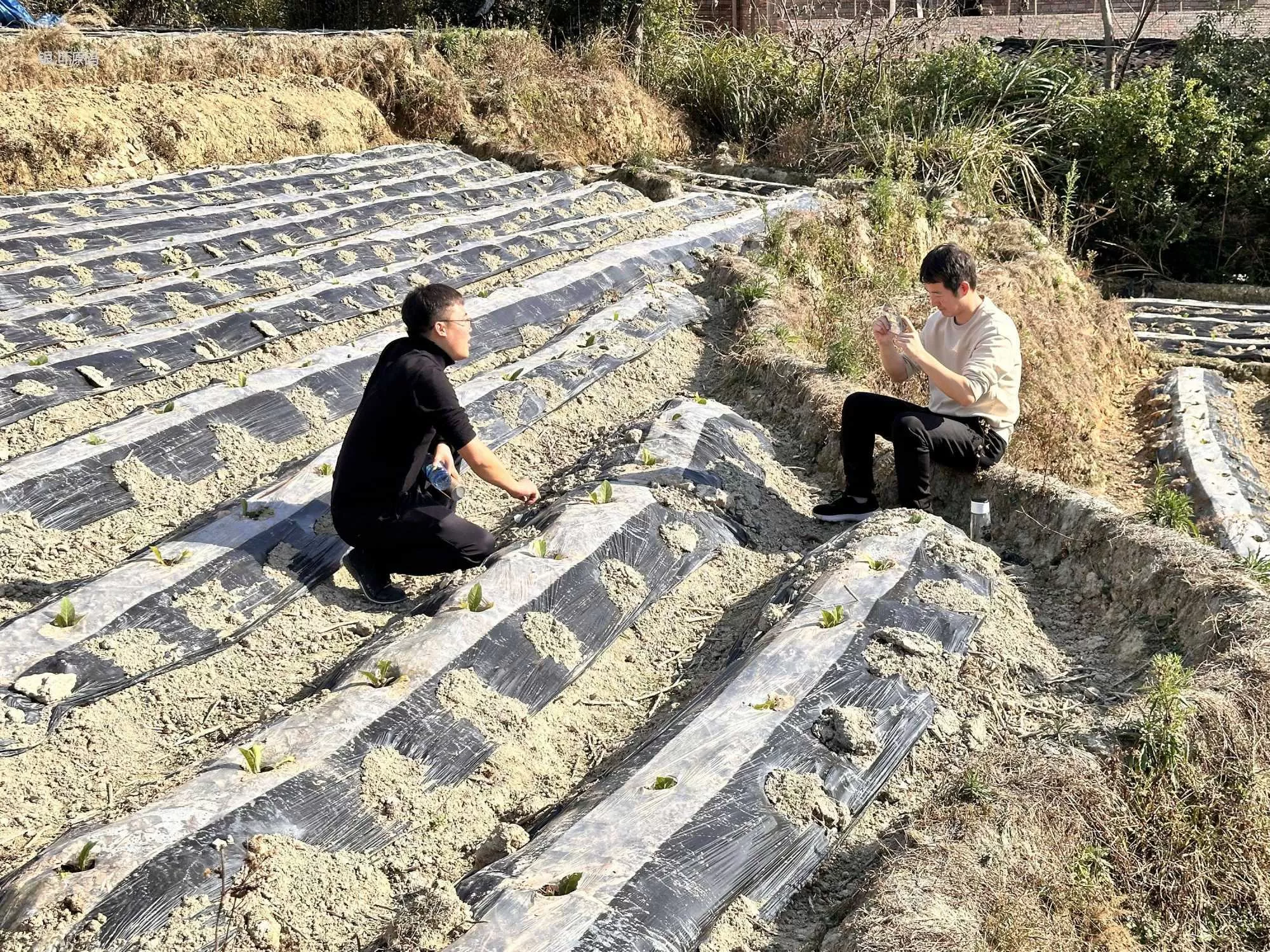 Learner Survival | Dingtian Jinan Tobacco Special Training Successfully Ends(图8)