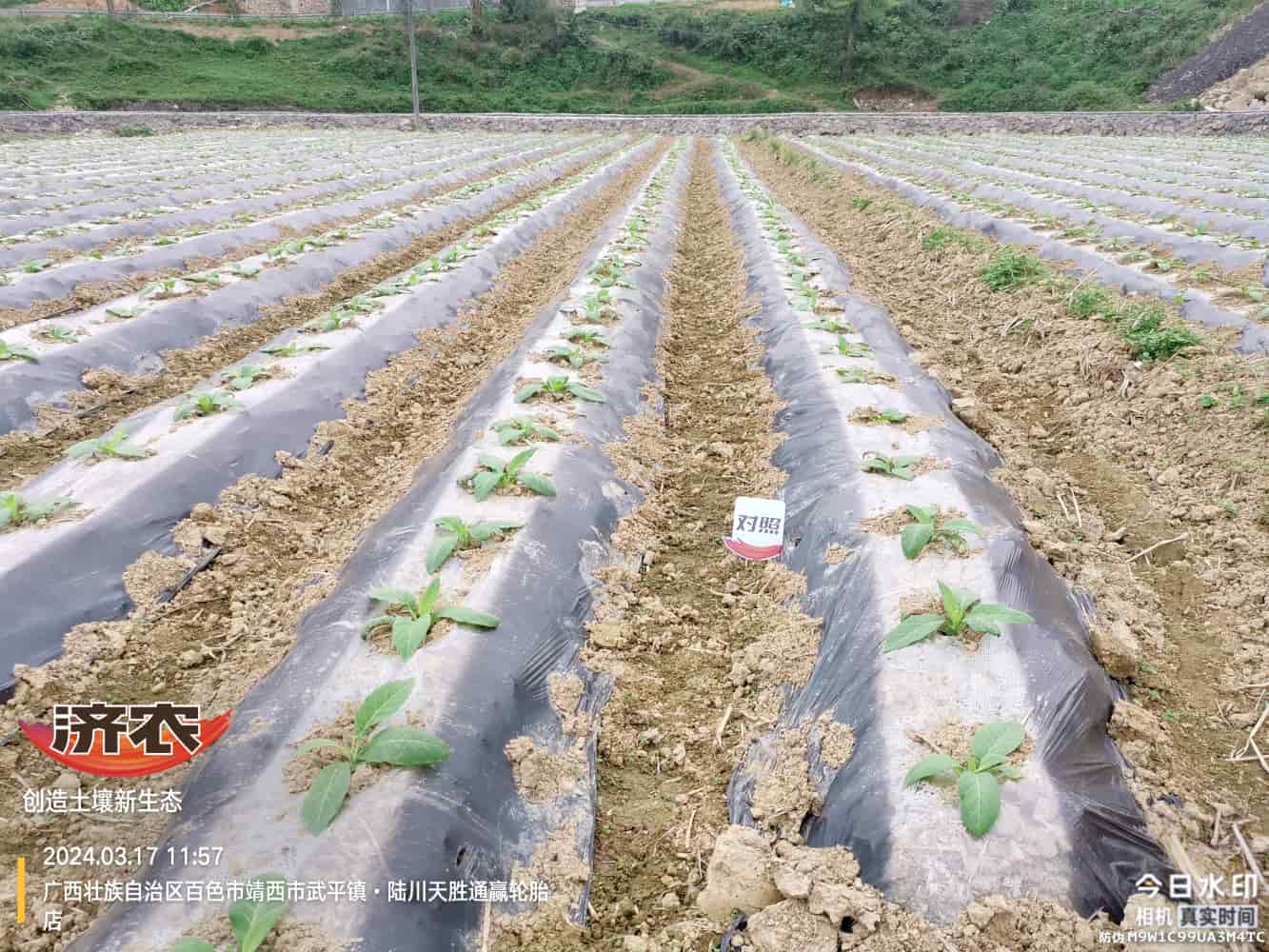The effect of using agricultural products in Guangxi(图2)