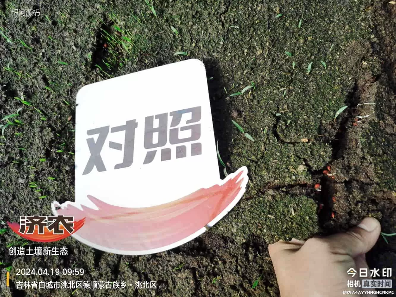 吉林水稻使用济农产品的效果(图5)