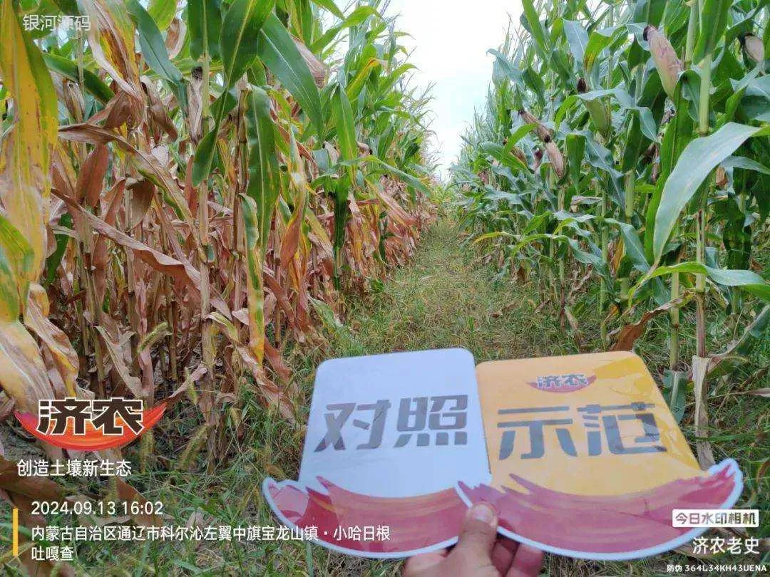 从“大失所望”到“大喜过望”，只是一个“济农乐土”的距离 (图2)