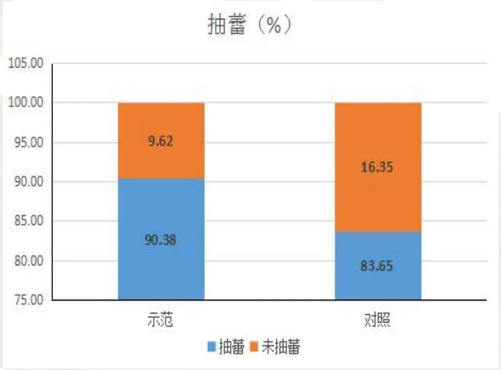 五年深耕，崇左众涵农业用济农乐土书写香蕉种植“长效奇迹”(图11)