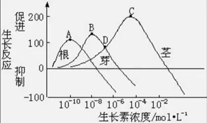 烤烟打顶前侧芽疯长，济农锌硼派有效调控(图3)