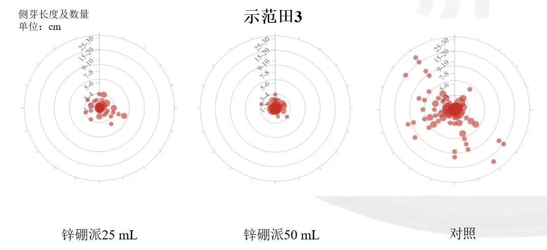 烤烟打顶前侧芽疯长，济农锌硼派有效调控(图7)