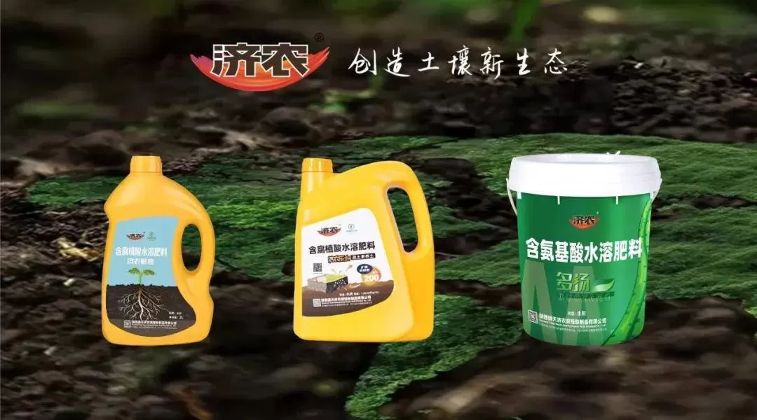宁城甜瓜回访:膨果期秧子不早衰,甄学东大哥的甜瓜被整棚预订!(图4) 宁城甜瓜回访:膨果期秧子不早衰,甄学东大哥的甜瓜被整棚预订!(图4)