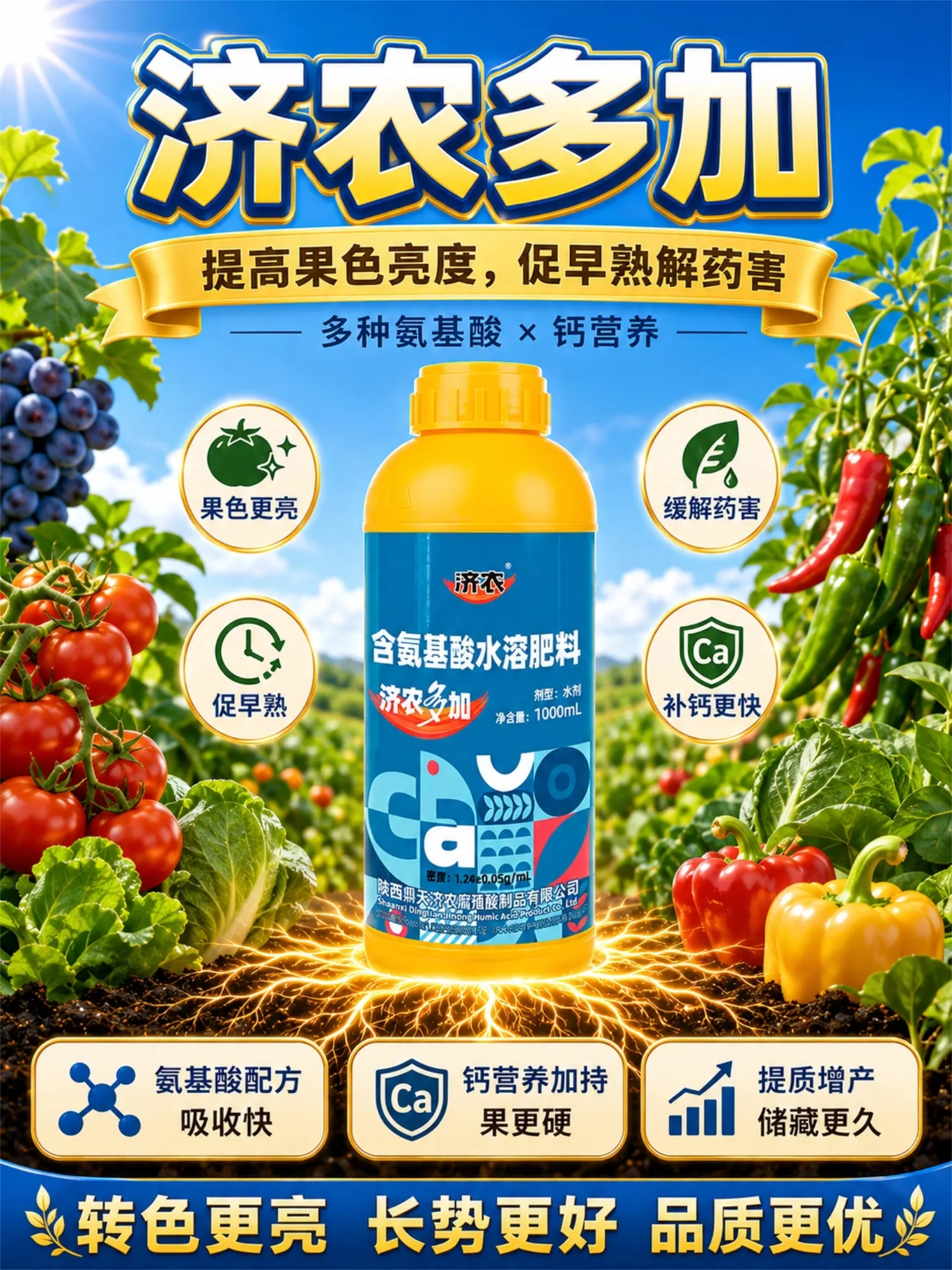 济农多加(图1)