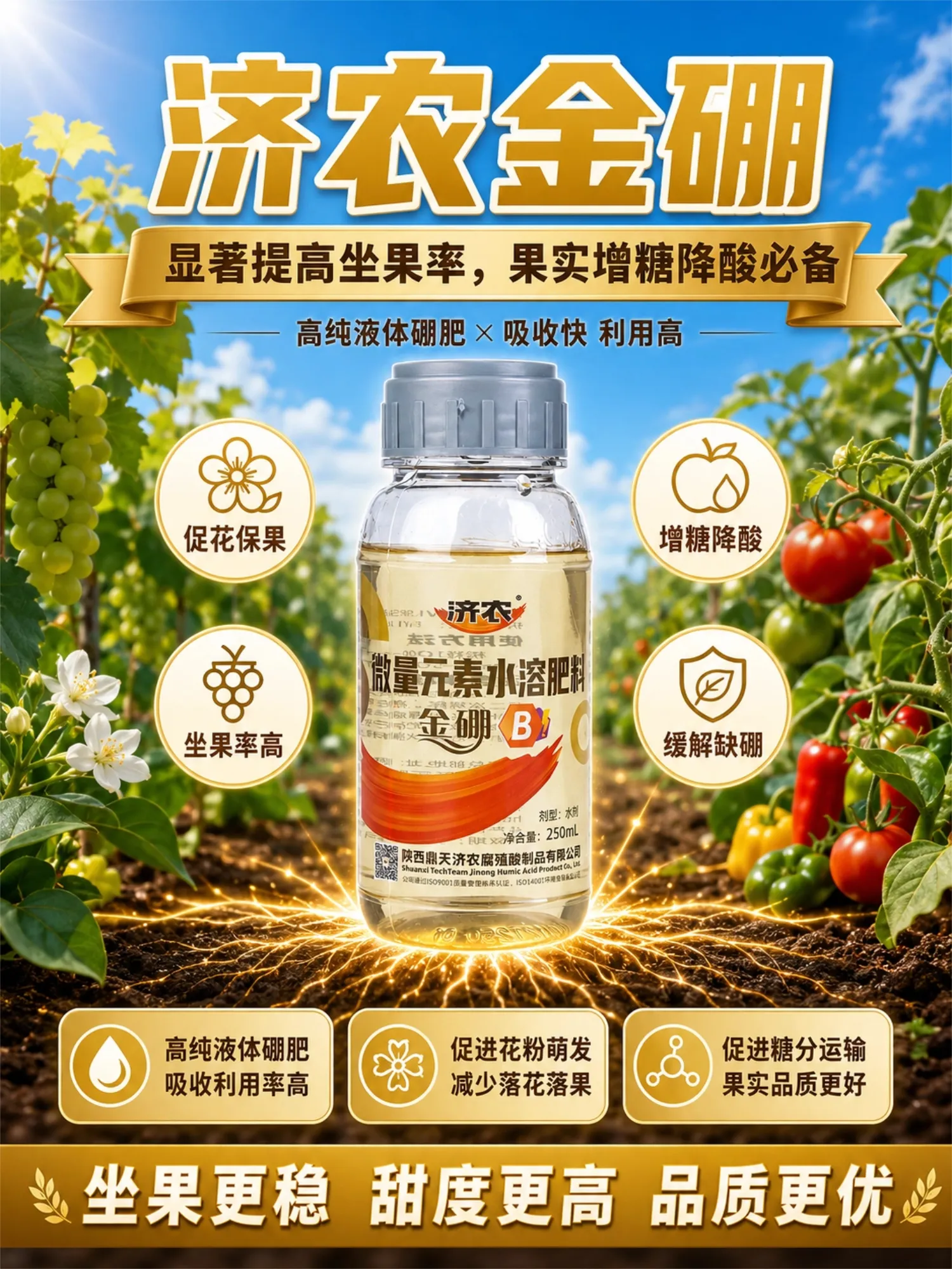 济农金硼(图1)