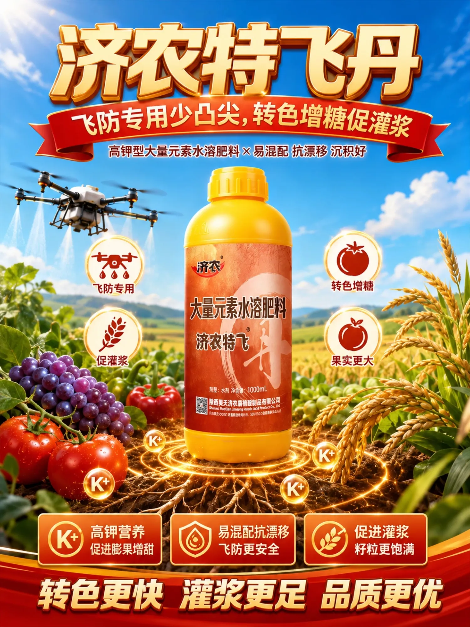 济农特飞·丹(图1)