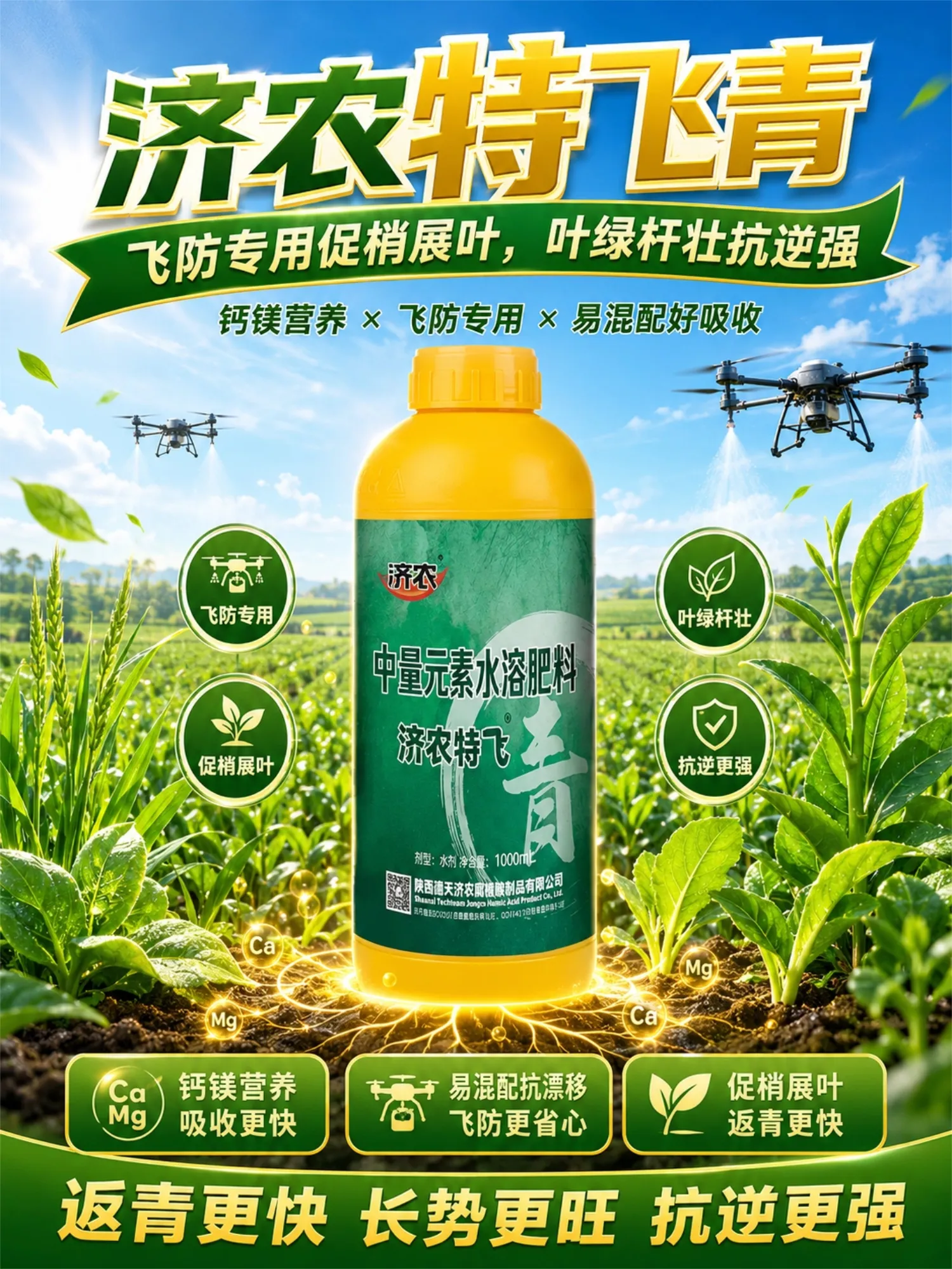 济农特飞青(图1)
