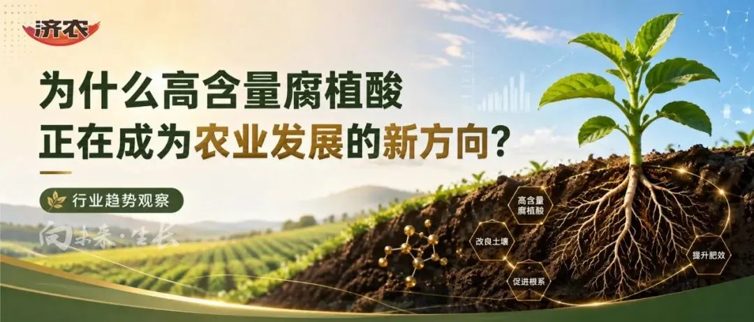 济农NEXT|为什么高含量腐植酸正在成为农业发展的新方向?