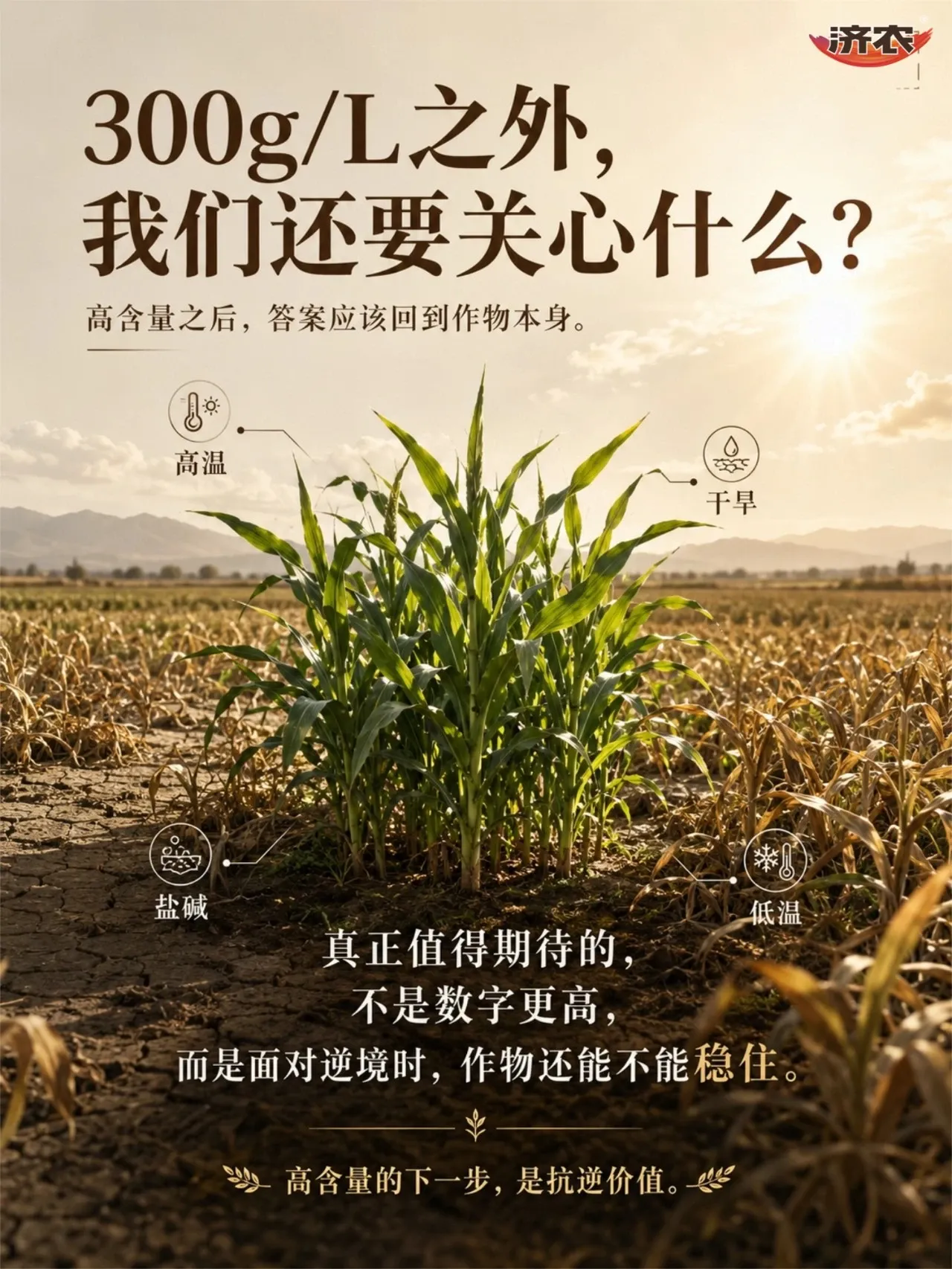 济农NEXT|300g/L之外,我们还要关心什么?