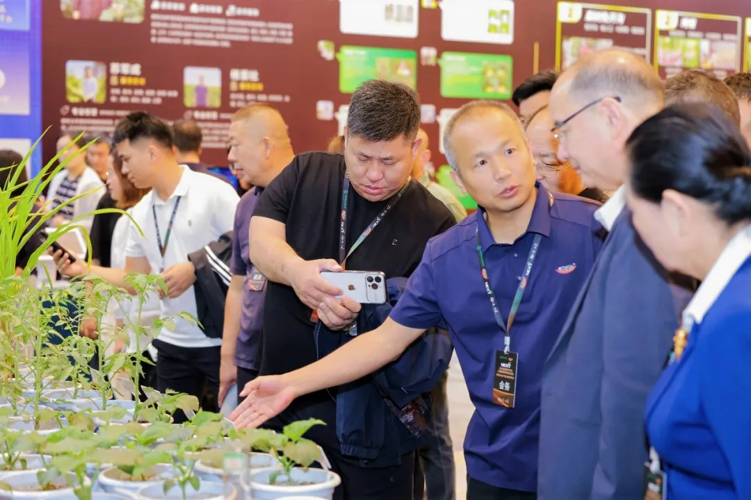 不卷含量，只比实效｜济农NEXT开启战略升级新阶段(图2)