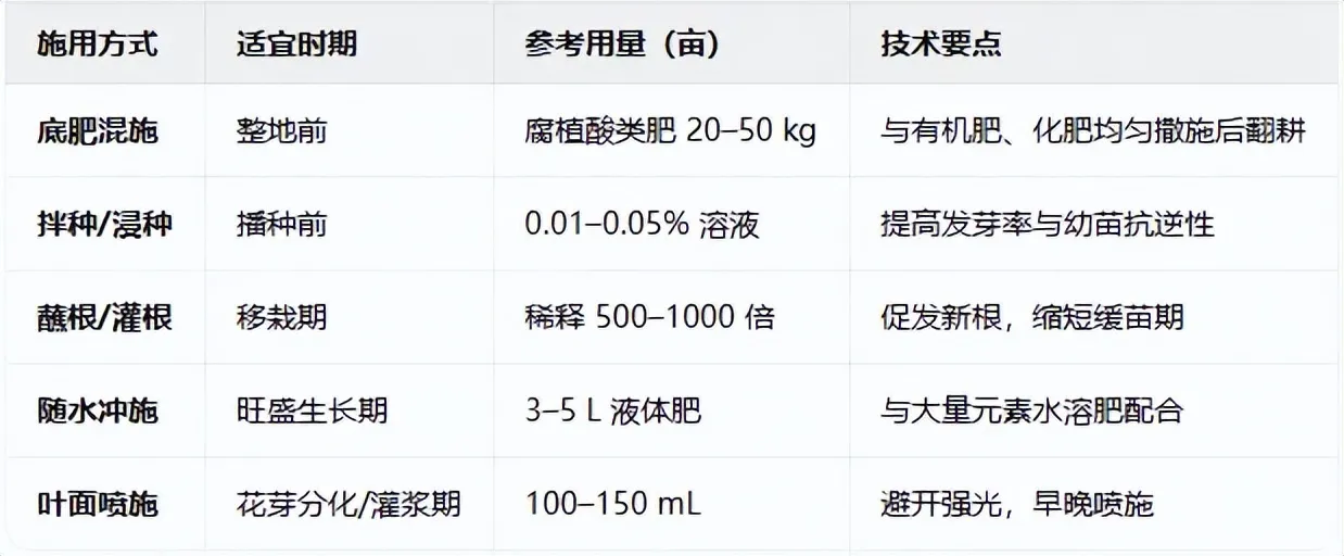 专家观点｜刘红芳：腐植酸最终要落到田间，解决真实农业问题(图2)